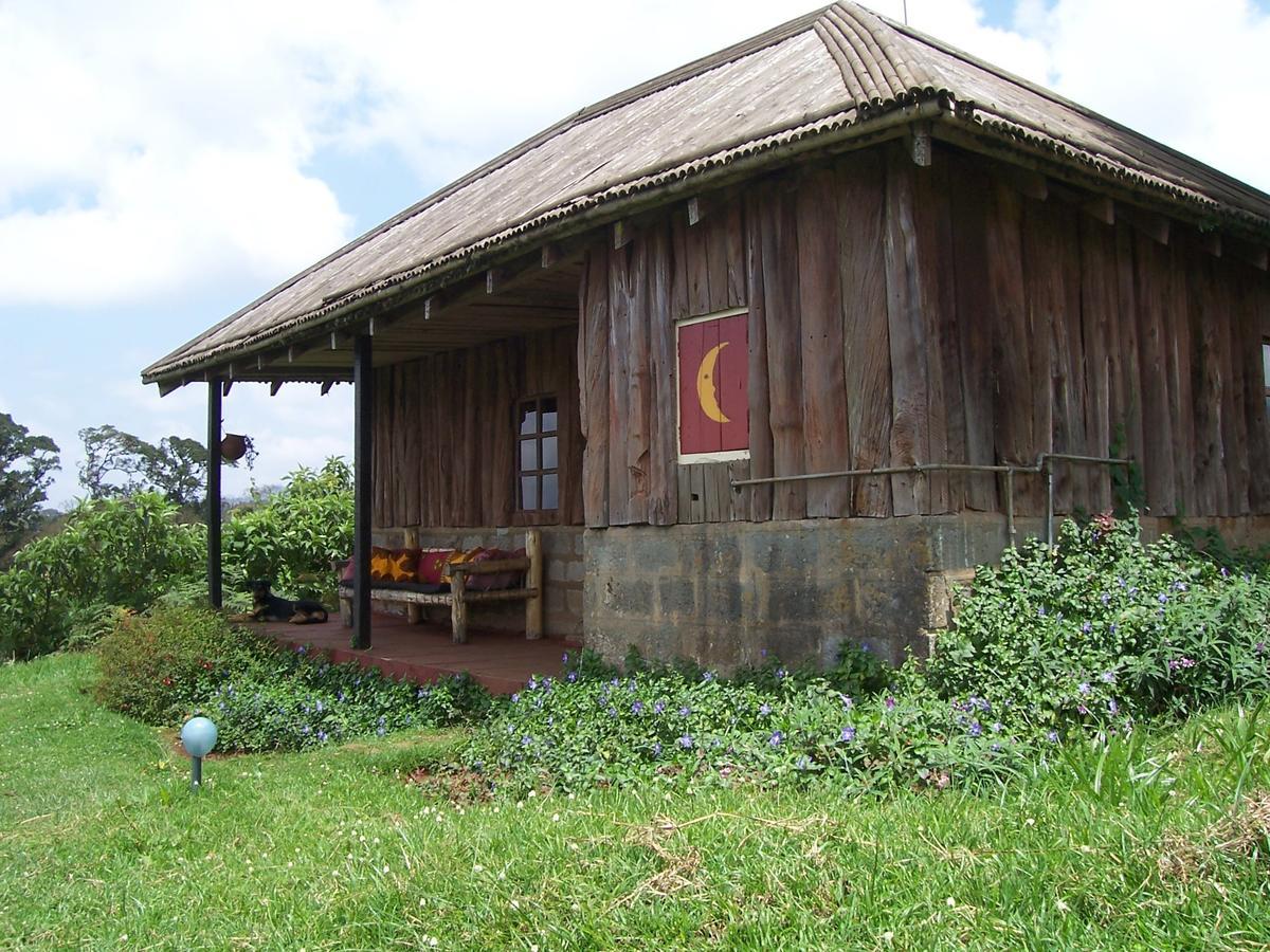 Castle Forest Lodge Mount Kenya National Park Luaran gambar