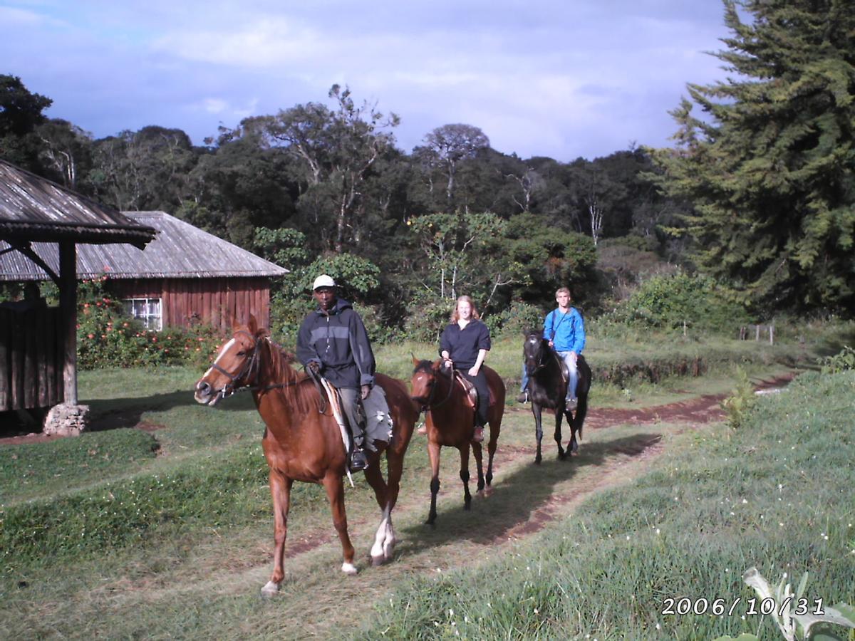 Castle Forest Lodge Mount Kenya National Park Luaran gambar