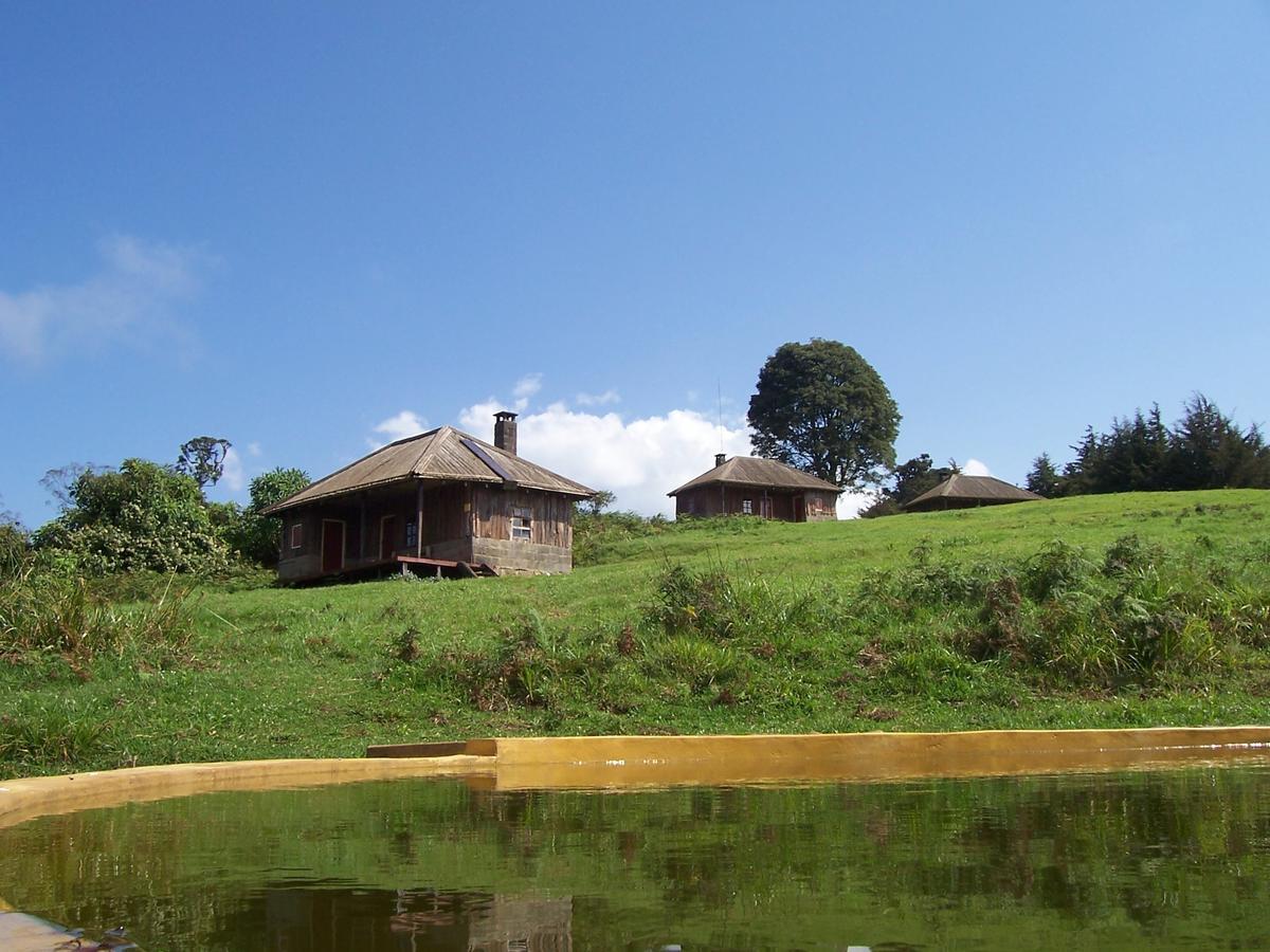 Castle Forest Lodge Mount Kenya National Park Luaran gambar