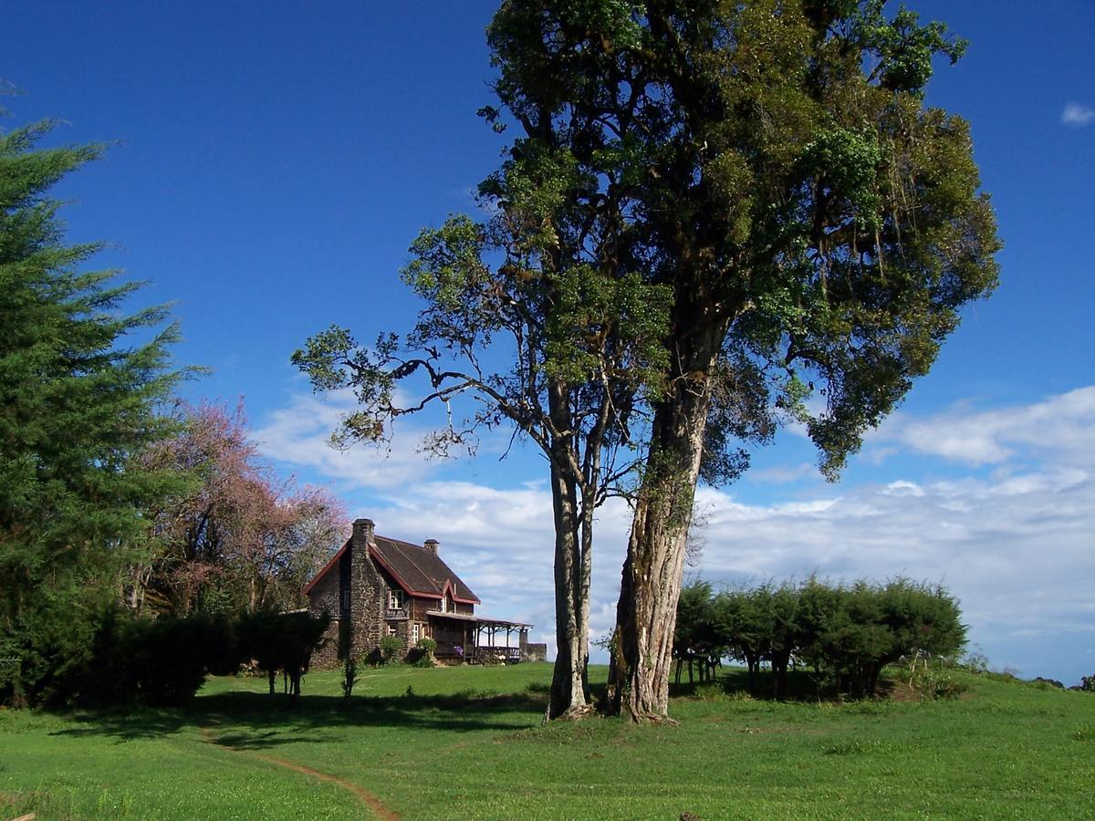 Castle Forest Lodge Mount Kenya National Park Luaran gambar