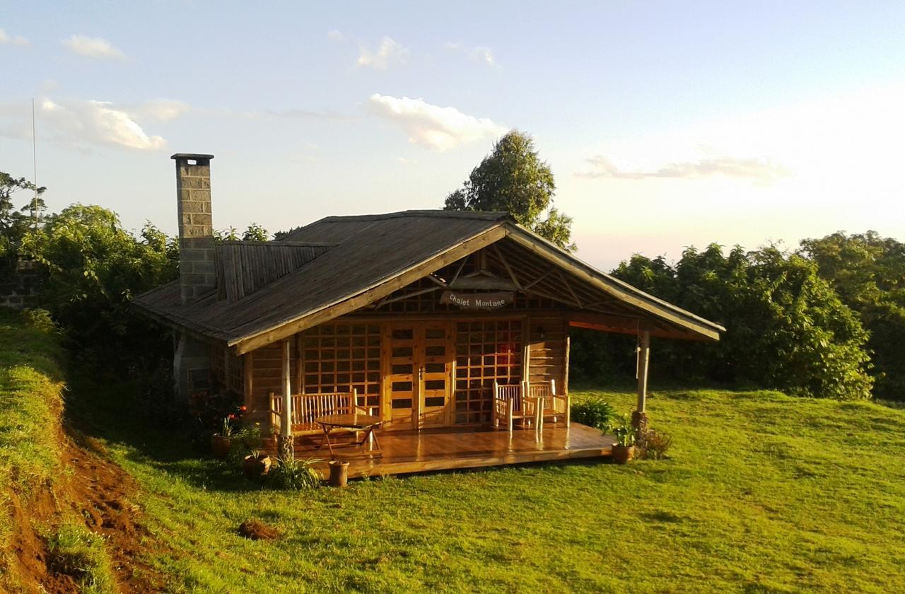 Castle Forest Lodge Mount Kenya National Park Luaran gambar