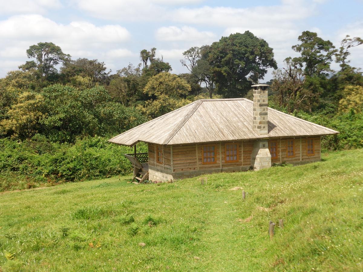 Castle Forest Lodge Mount Kenya National Park Luaran gambar