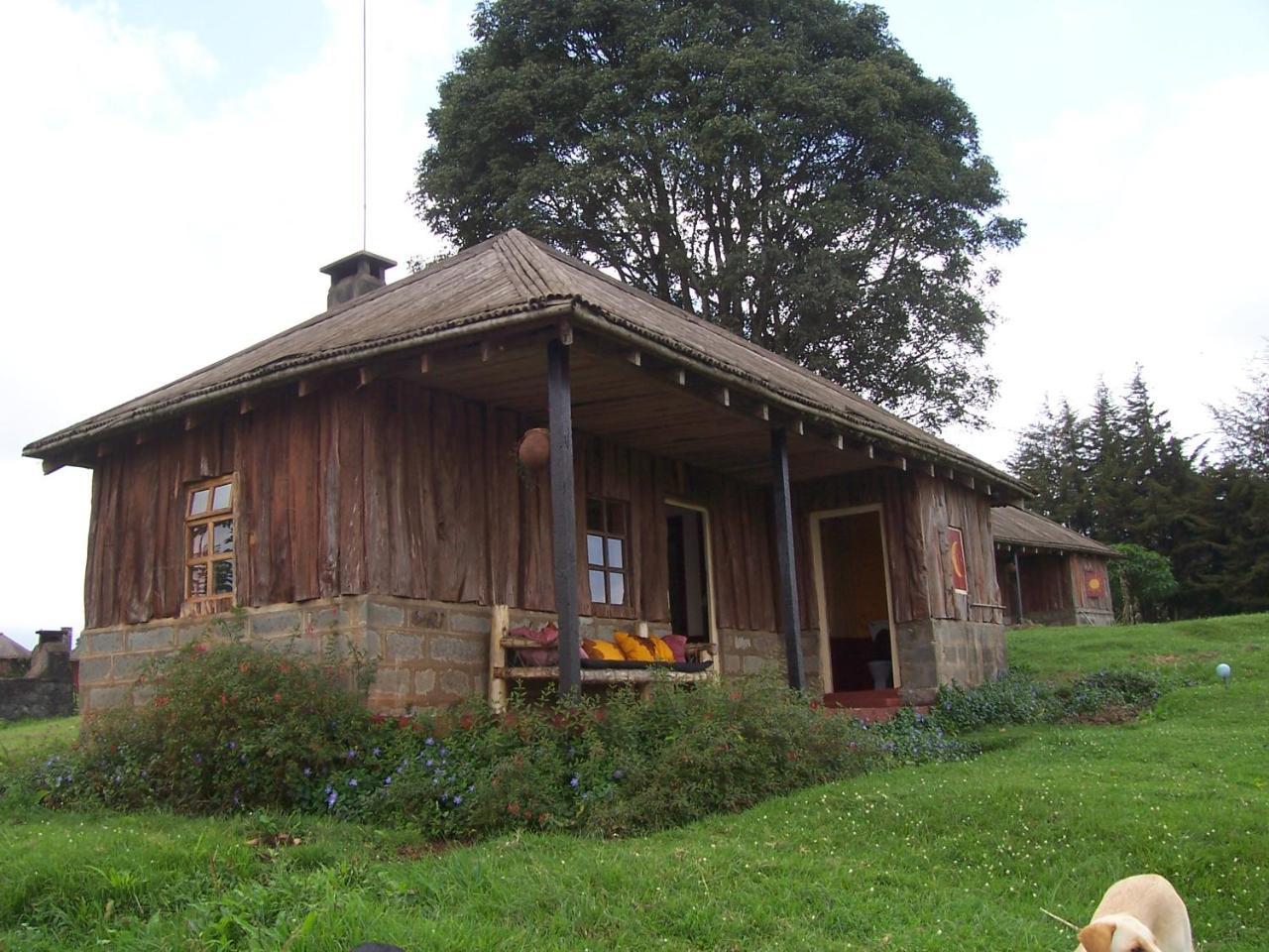 Castle Forest Lodge Mount Kenya National Park Luaran gambar